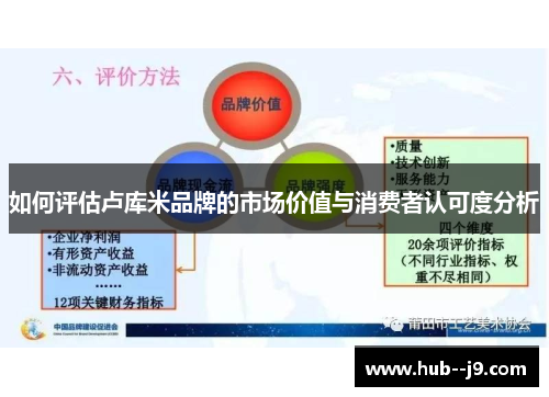 如何评估卢库米品牌的市场价值与消费者认可度分析 如何评估卢库米品牌的市场价值与消费者认可度分析