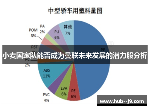 小麦国家队能否成为曼联未来发展的潜力股分析 小麦国家队能否成为曼联未来发展的潜力股分析