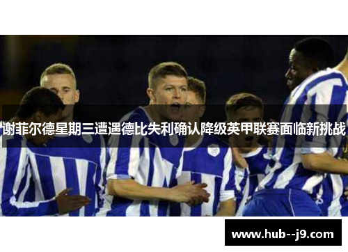 谢菲尔德星期三遭遇德比失利确认降级英甲联赛面临新挑战