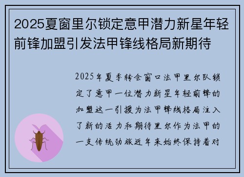 2025夏窗里尔锁定意甲潜力新星年轻前锋加盟引发法甲锋线格局新期待