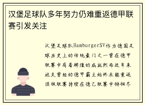 汉堡足球队多年努力仍难重返德甲联赛引发关注 汉堡足球队多年努力仍难重返德甲联赛引发关注